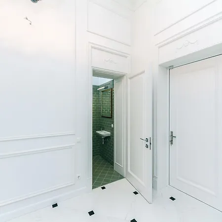 Vip Near Kreschatyk, 31а Pushkinska Street Daire *